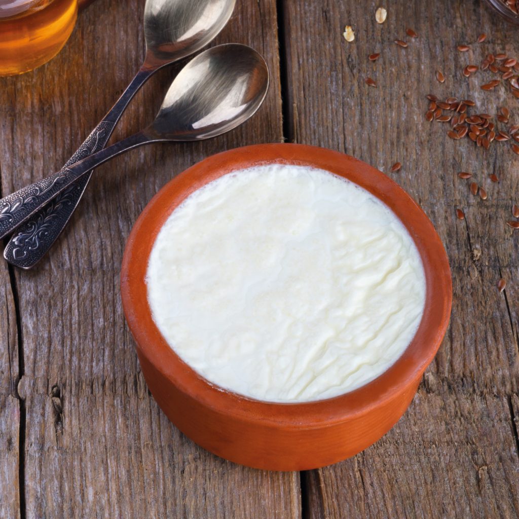Receta cuajada Newlux